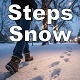 Steps on Snow in Frost