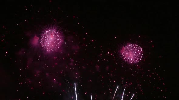 Colorful Firework display at night on sky background alt