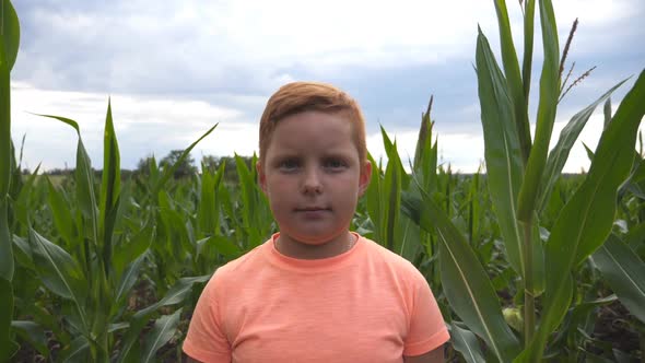 Portrait of Young Serious Red-haired Boy Looking Into Camera Against the Background of Corn Field