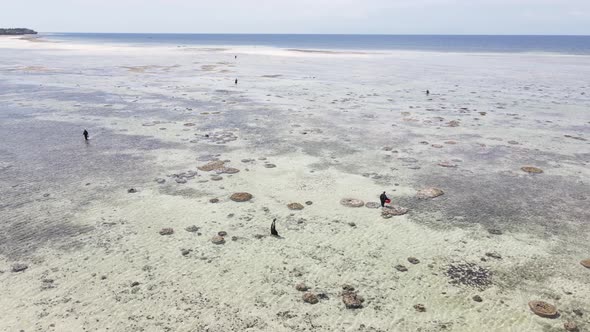 View From a Height of the Indian Ocean Near the Coast of Zanzibar Tanzania