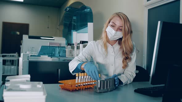 Blood Test in the Laboratory