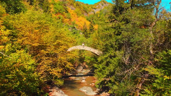 Woman Sits On Old Bridge And Enjoys Autumn Nature Copy