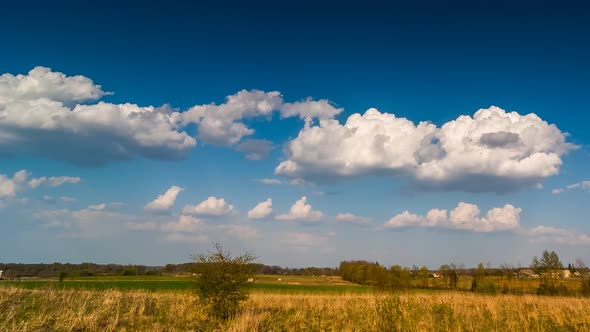 Cumulus Clouds Running Across Brilliant Blue Sky