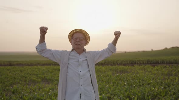 Old Man Stands on the Corn Field and Makes Deep Breath