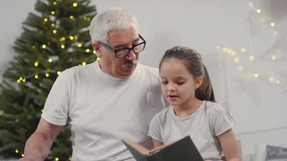 Cute Girl and Grandfather Reading Book at Christmas