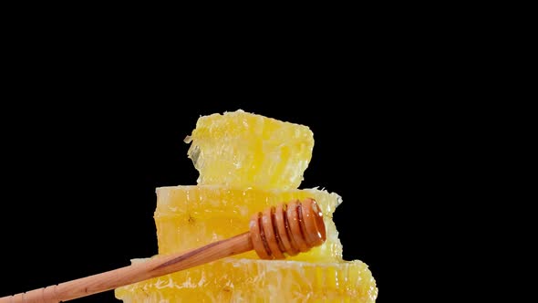 The Honeycombs with Fresh Honey Rotate Slowly