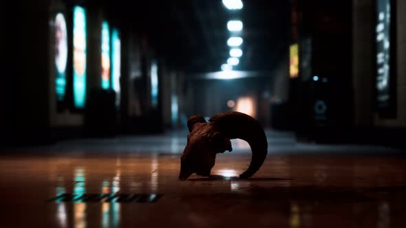 Old Ram Skull in Underground Subway