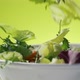 Fresh salad falling into bowl on green background - VideoHive Item for Sale