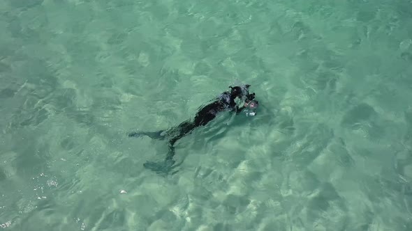 A Photographer With Waterproof Camera Capturing The Stunning Underwater Scenery While Freediving On