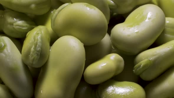 Close up detail of rotating green fava beans still with their skins on.