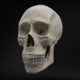 Realistic Human Skull Low-poly 3D model - 3DOcean Item for Sale