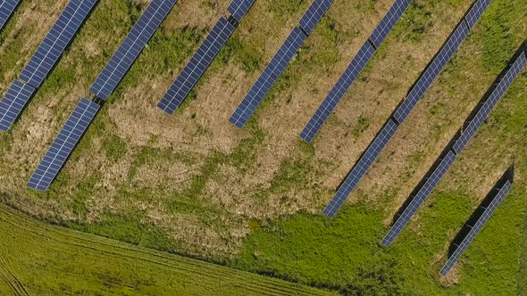 Green Power Plant