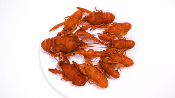 Group of boiled red crayfish are laid out on a plate. White background.