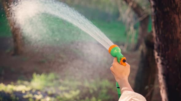 A Hand Holding a Hose and Watering the Lawn at Sunset Time