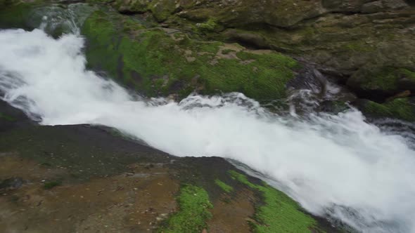 Stones and Rocks Covered By Moss Along Water Stream Flowing Through Green Summer Forest