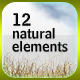 12 Natural Elements Pack (HR) - GraphicRiver Item for Sale