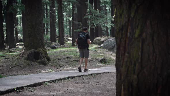 Low Angle Shot of a Young American Guy Walking in Manali Nature's Park