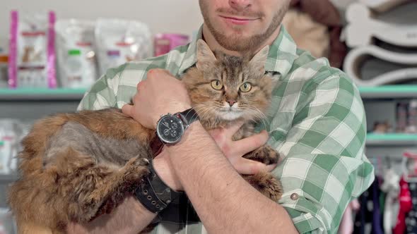 Adorable Fluffy Cat in the Arms of Its Owner at the Veterinary Clinic