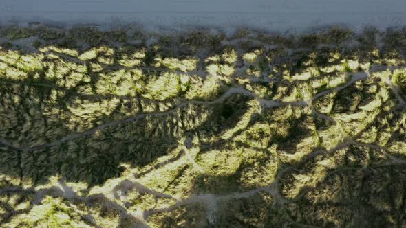 Marram grass anchored dunes and Irish beach