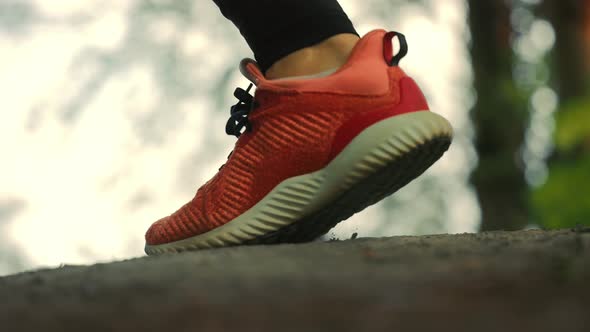 Legs of an Athlete Close Up Running on a Forest Trail