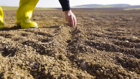 Farmer digging in the field with his hand, sowing seeds.