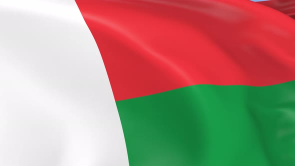 Malagasy Flag