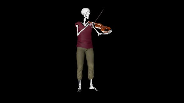 Skeleton Playing Violin