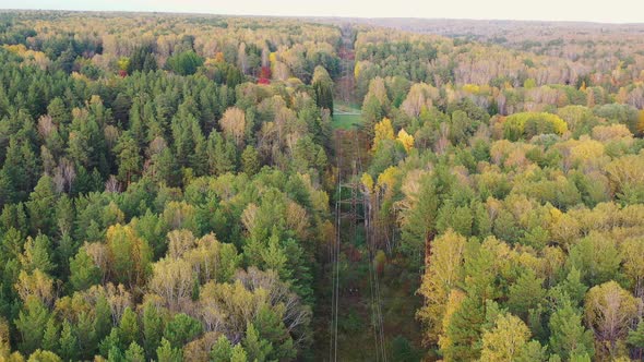 Survey Power Lines From Above in the Autumn Woods