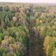 Survey Power Lines From Above in the Autumn Woods - VideoHive Item for Sale