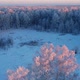Snow covered tree at sunset - VideoHive Item for Sale