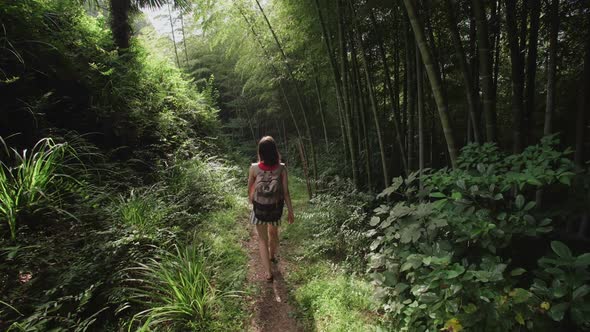 Travel Woman with Bag Walks Along Path in Tropical Park of Tropical Plants, Palms, Bamboo Plantation