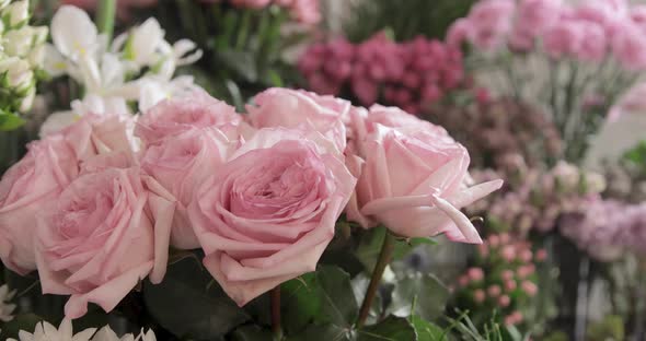 Beautiful Pink Roses Bunch