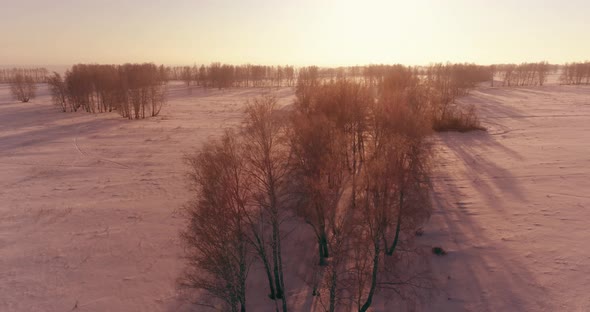 Aerial Drone View of Cold Winter Landscape with Arctic Field, Trees Covered with Frost Snow and