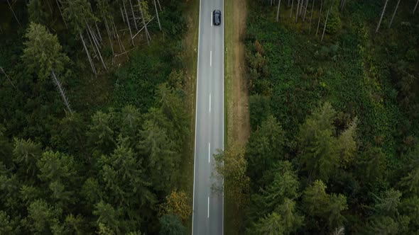 Wide forest landscape with a leading street to the horizon with a car, driving fast along the countr