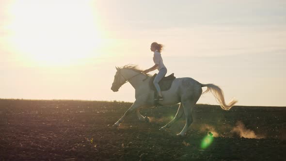 Young Blonde Girl Riding on a Horse on the Field During Sunset, Slow Motion