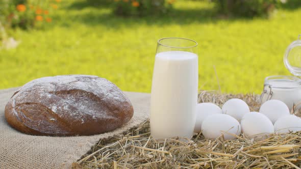 Bread Chicken Eggs and Milk