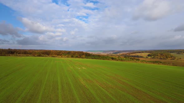 Aerial view of bright green agricultural field in early spring.