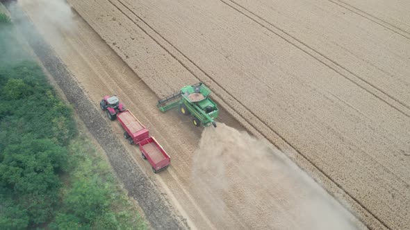 Aerial view of combine harvester, harvesting on wheat field.