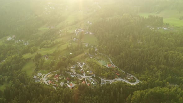 Aerial view of autumn forest