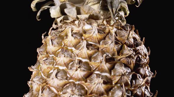 Pineapple Rotates on a Black Background. Detail of Pineapple Scale Skin and Crown