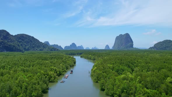 Amazing abundant mangrove forest Aerial view of forest trees Rainforest ecosystem