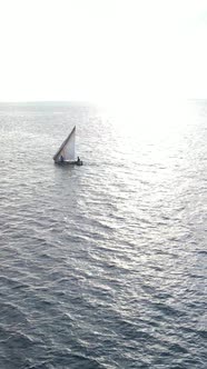 Vertical Video Boats in the Ocean Near the Coast of Zanzibar Tanzania