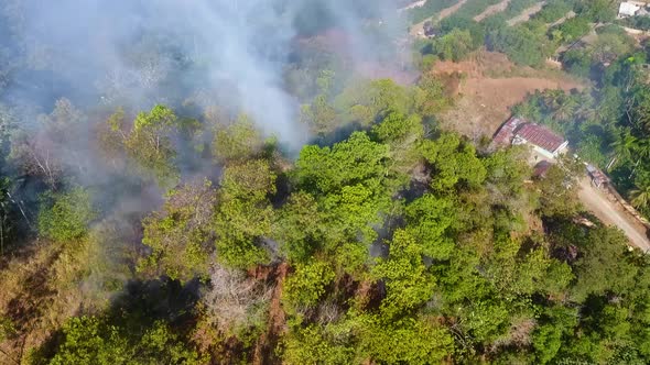Aerial view of a tropical forest fire near a farm, sunny day, in South America - Tracking, drone sho