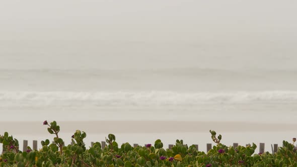 Sandy Misty Beach California USA