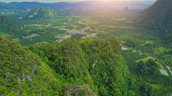 Drone fly over mountains, palm trees and coconut groves