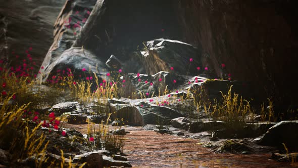 Gravel Path with Rocks in Mountains