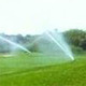 Lawn Sprinkler