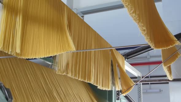 Production of Pasta on Production Line