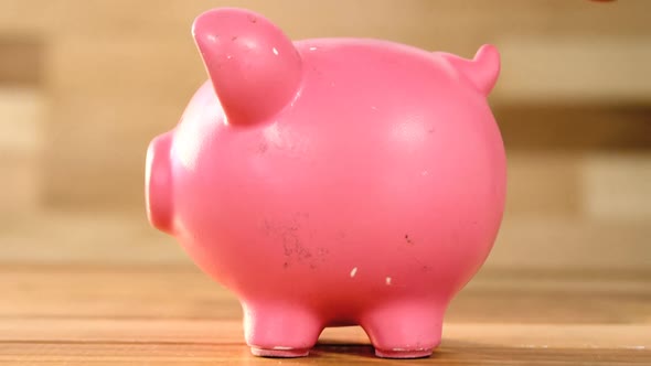 Woman putting coin in piggy bank