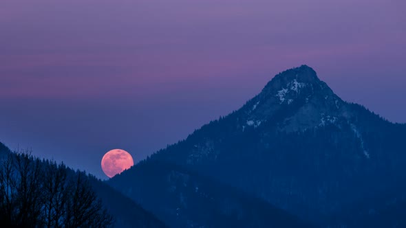 Red Full Moon Rising over Mountain Forest in Winter Evening Nature